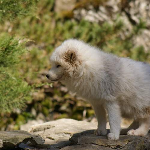 Photo #7282322