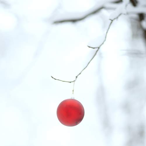 Photo #7282343