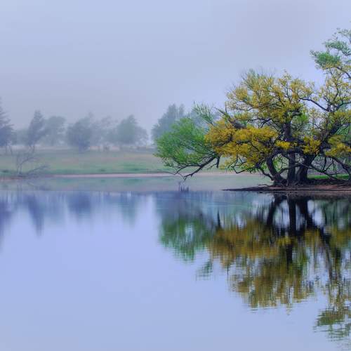 Reflections of Autumn