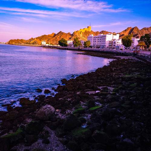 Photo #7283222