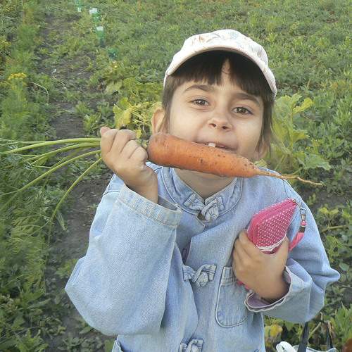 Photo #7283279
