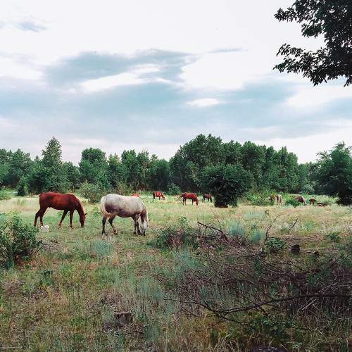 Photo #7283441