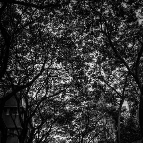 The Haunted Street