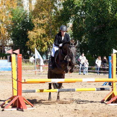 Photo #7283679