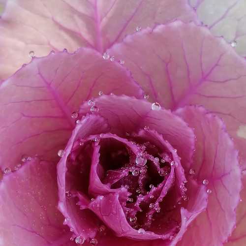 Photo #7283966