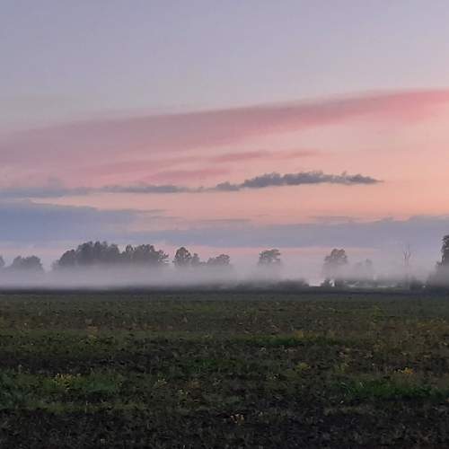 Photo #7285164