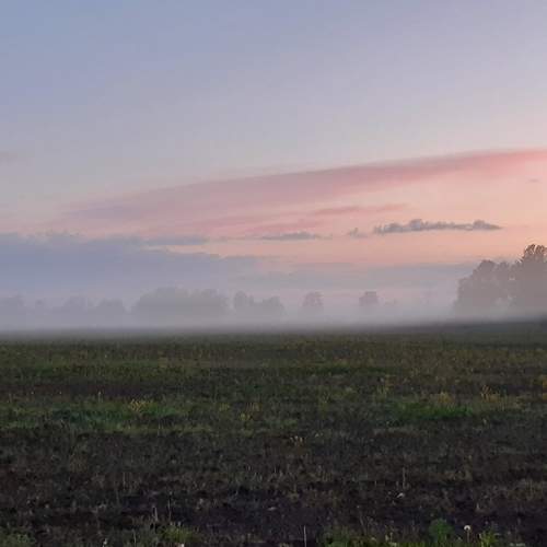 Photo #7285178
