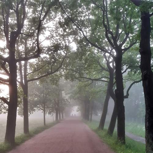 Photo #7285298