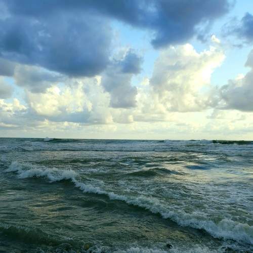 Photo #7285592
