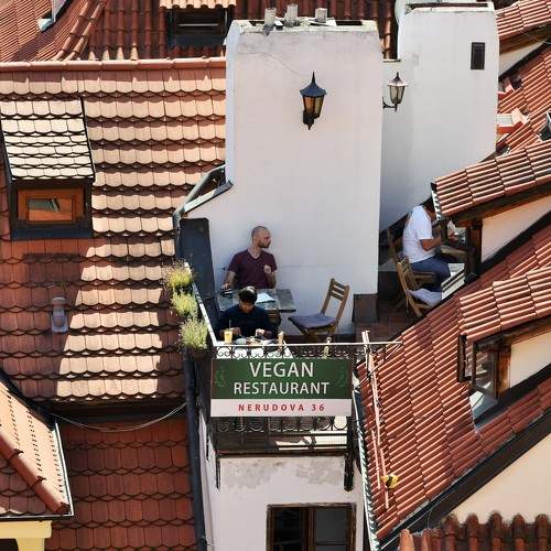 Photo #7285621