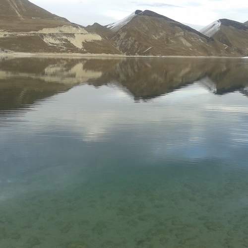 Photo #7285930