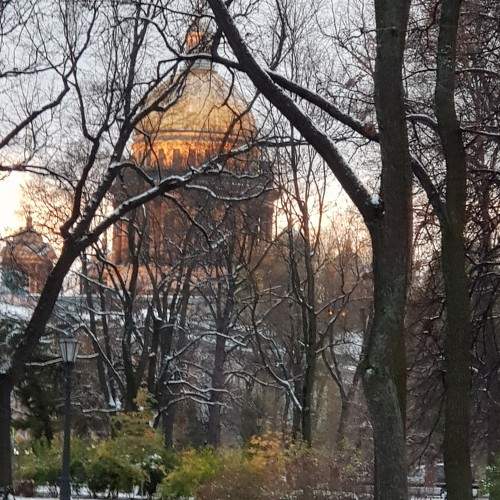 Photo #7285939