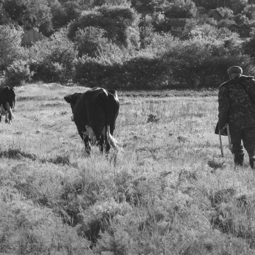 Photo #7286225