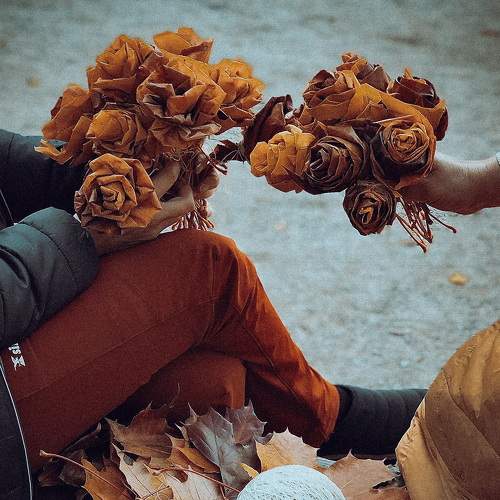 Photo #7286232