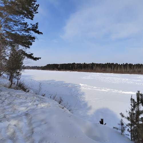 Photo #7286993
