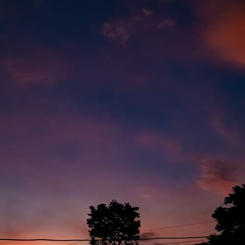 Photo #7287287