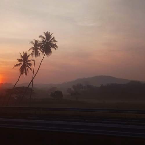 Photo #7287561