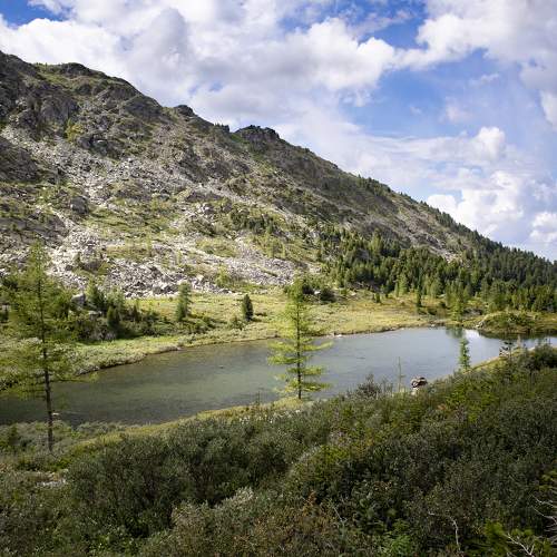 Photo #7287804