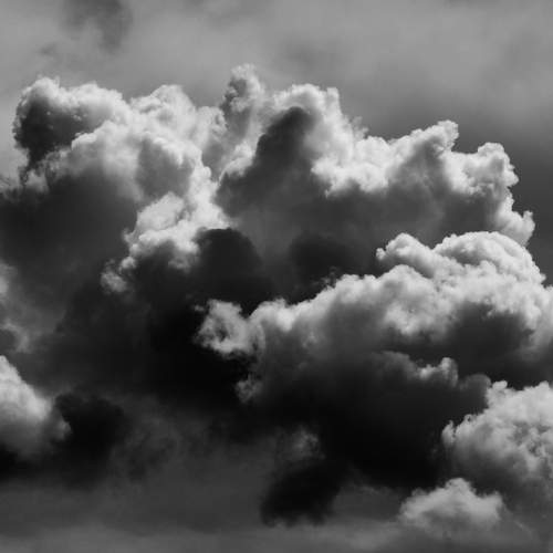 Photo #7287929