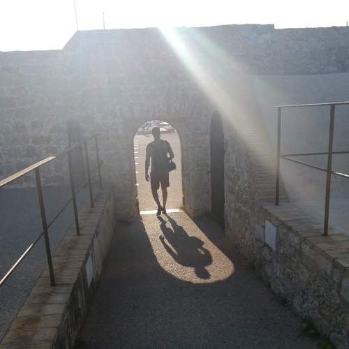 Photo #7288029
