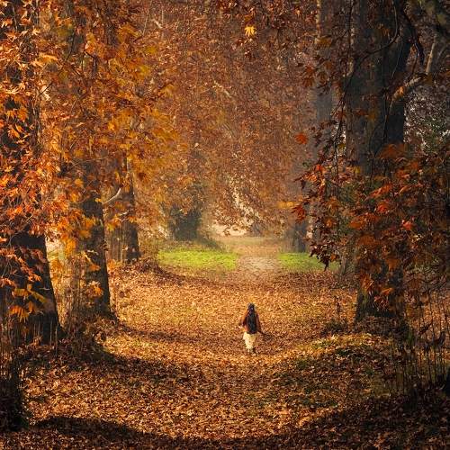 Symphony of Autumn