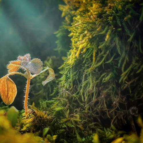 Photo #7288292