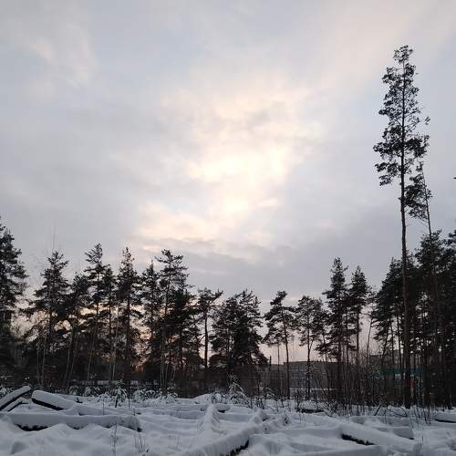 Photo #7288363