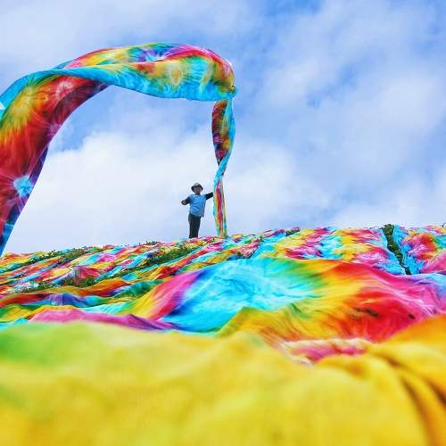 Photo #7288564