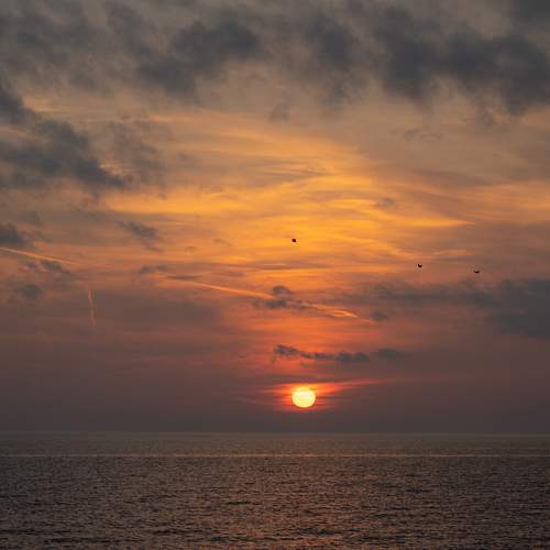 Photo #7288620