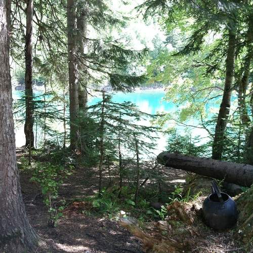 Photo #7288695