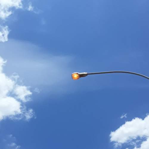 Photo #7288879