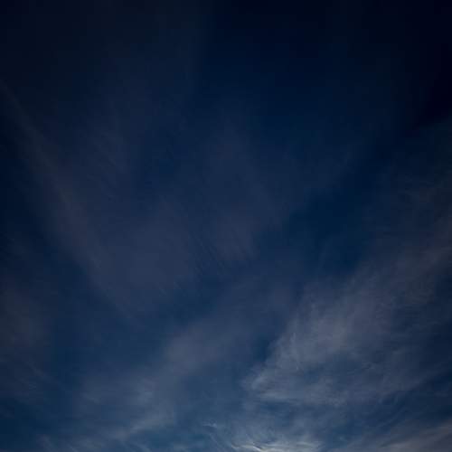 Photo #7288973