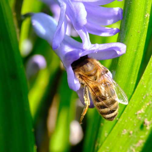 Photo #7289123