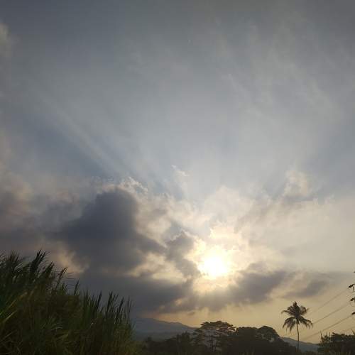 Photo #7289207