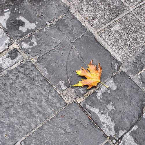 Photo #7289821