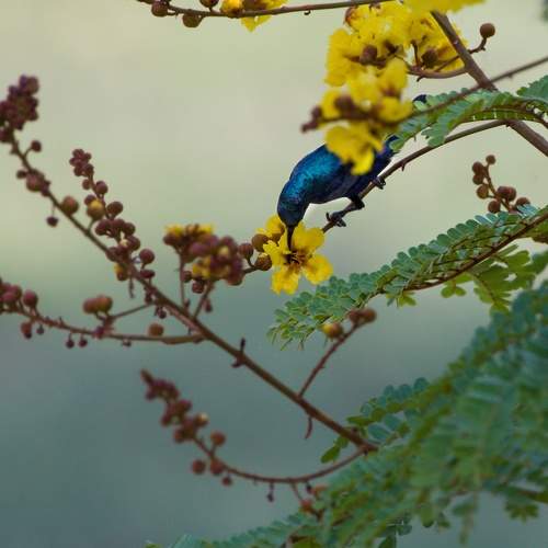 Photo #7290087
