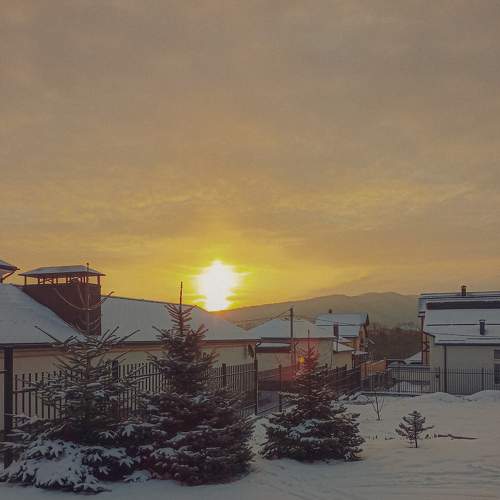 Photo #7290486