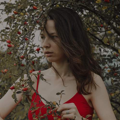 Photo #7290500
