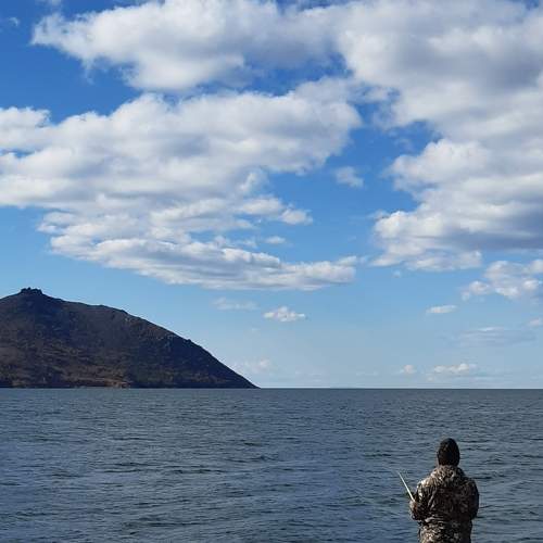 Photo #7290586