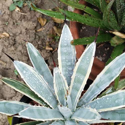 Photo #7290665