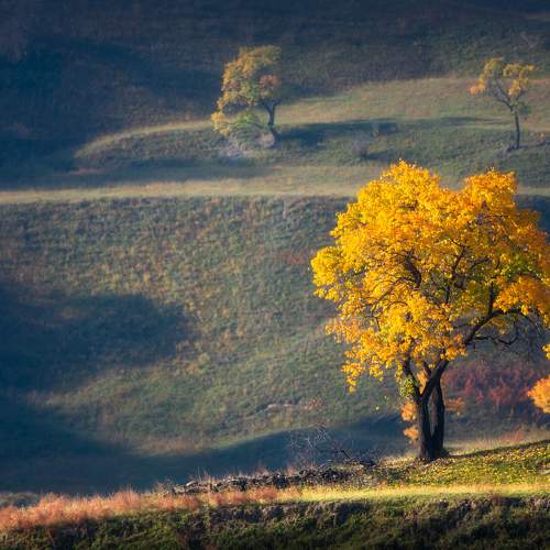 Лики осени