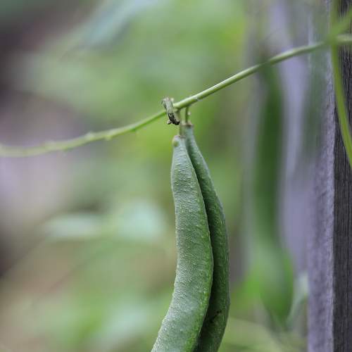 Photo #7291104
