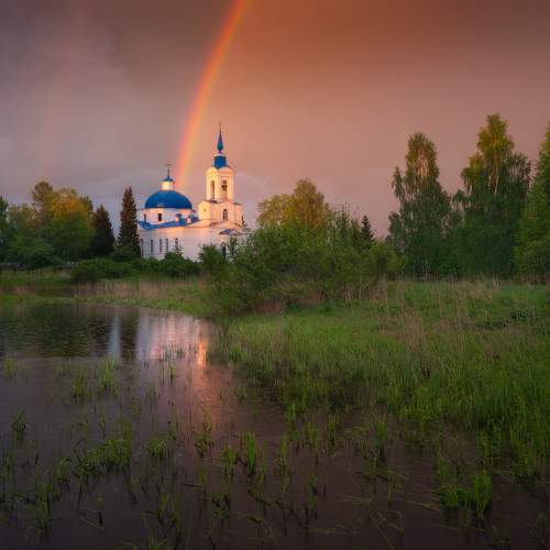 Летний дождь