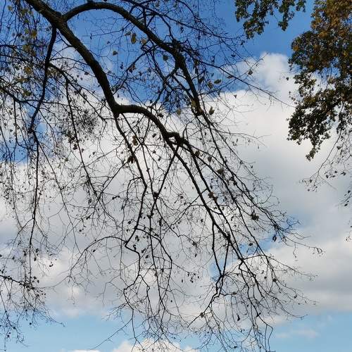 Photo #7291336