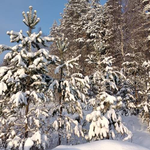 Photo #7291414