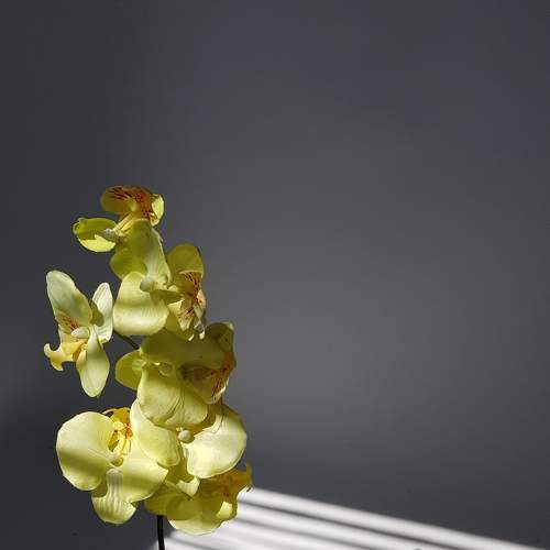 Photo #7291674