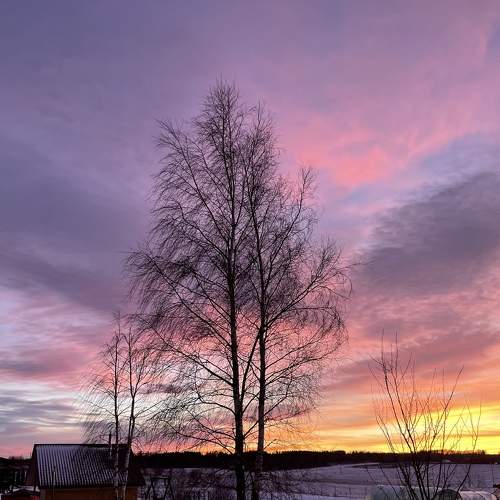 Photo #7291718