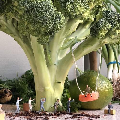 Photo #7291741