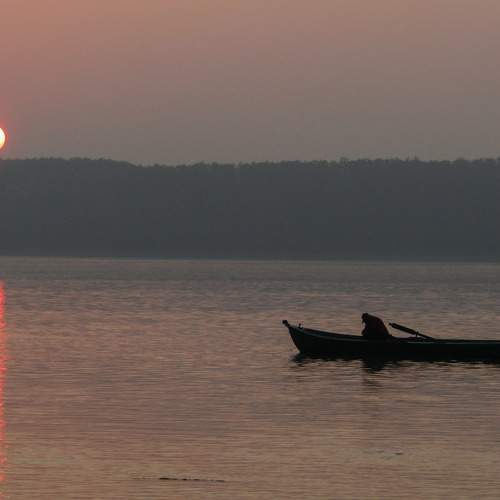 Photo #7291789