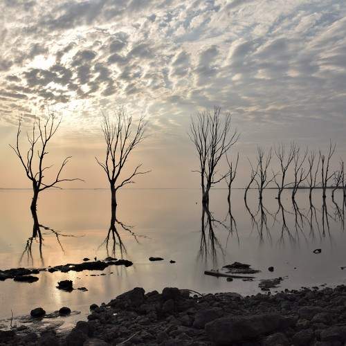 Photo #7292267